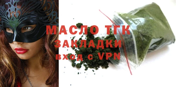 гидра Горняк