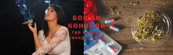 гидра Горняк