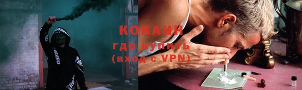 гидра Горняк