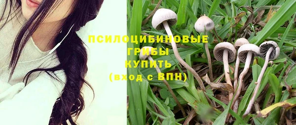 метадон Сосновка