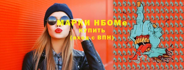 гидра Горняк