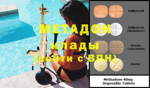 гидра Горняк