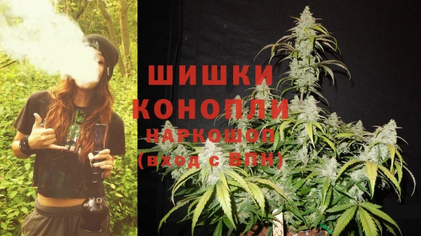 гидра Горняк