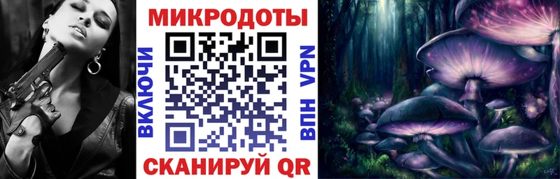 Псилоцибиновые грибы мицелий Иланский