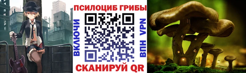 закладки  ссылка на мегу маркетплейс  Псилоцибиновые грибы Psilocybine cubensis  Иланский 