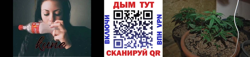 Бошки марихуана марихуана  Иланский 